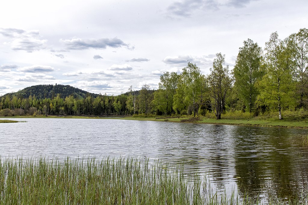 Landskapen